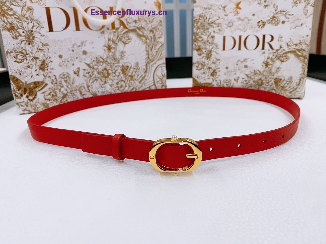Dior Chic Belt Red Smooth Calfskin 20MM